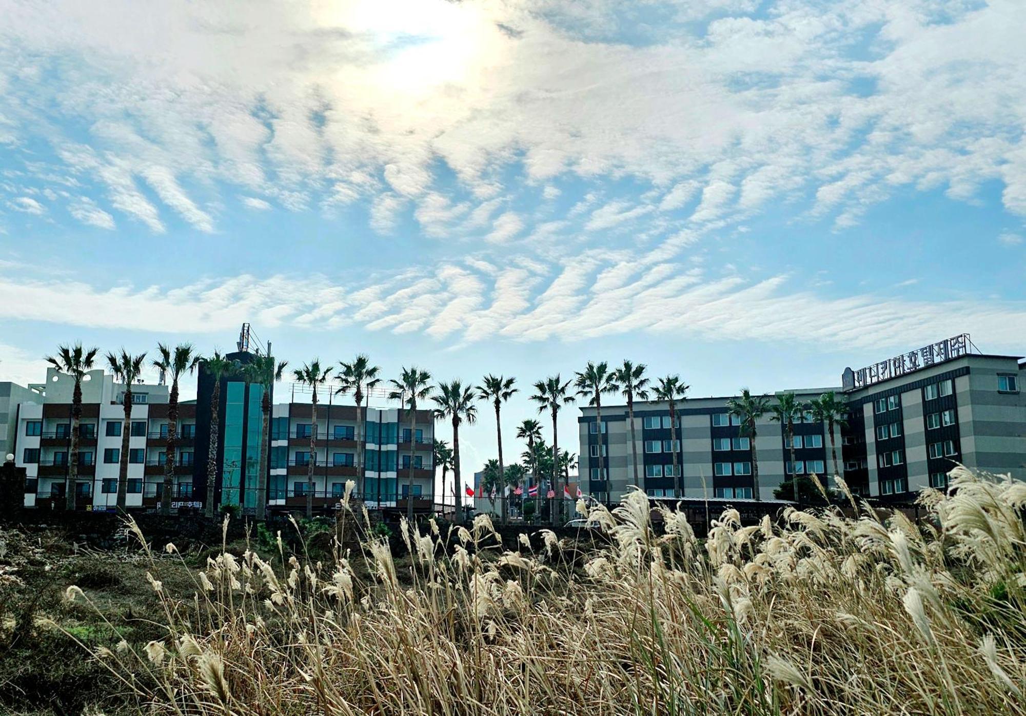 Benikea Hotel Jeju Exteriör bild